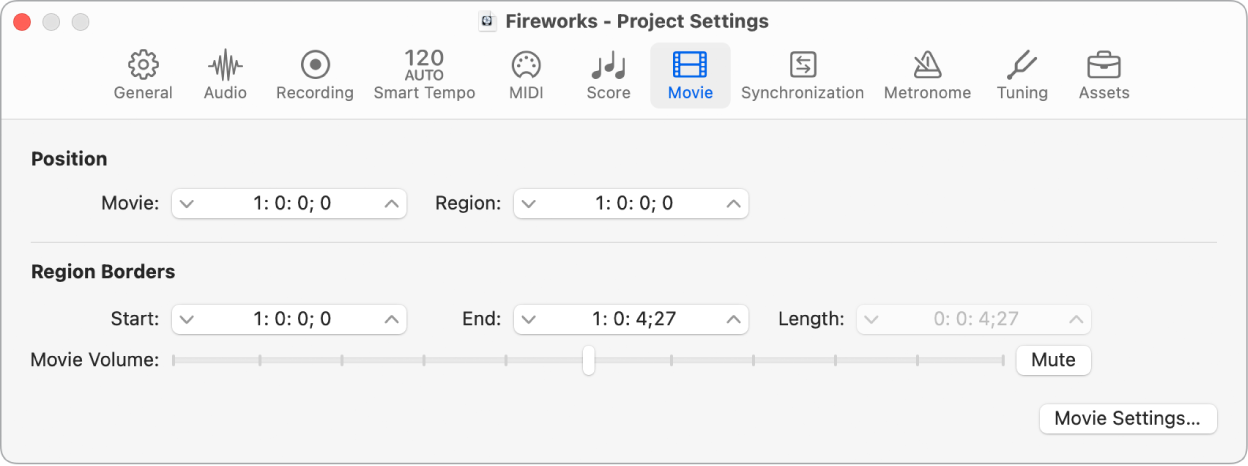 Figure. Movie project settings.