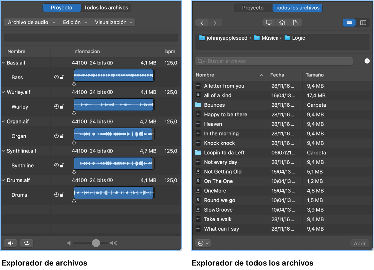 Ilustración. Explorador de audio del proyecto y explorador de todos los archivos.