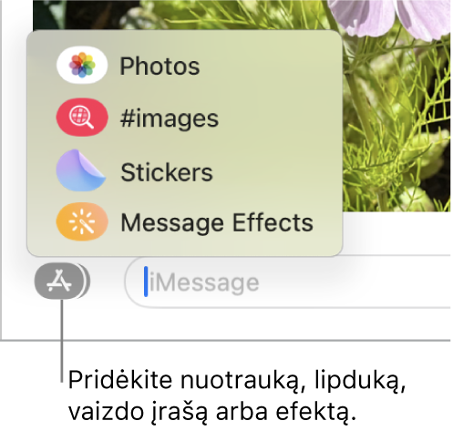 „Apps“ meniu ir parinktys, skirtos rodyti nuotraukas, lipdukus, GIF ir žinučių efektus.