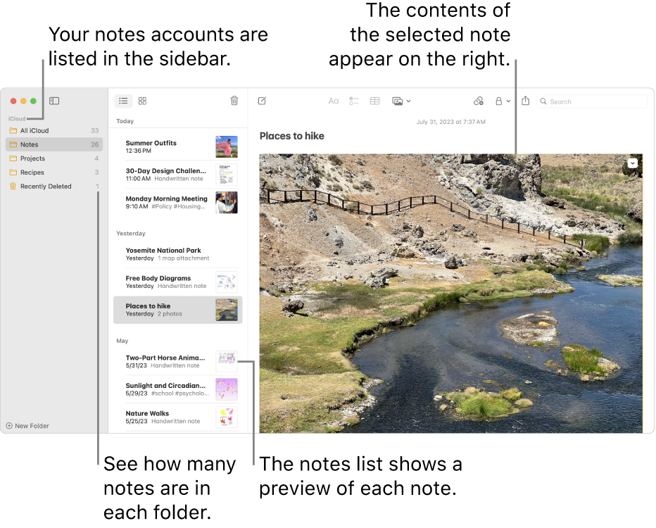 The Notes window with all your configured accounts and folders listed in the sidebar on the left, the list of notes in the middle showing a preview of each note, and the content of the selected note appearing on the right. The number of notes appears next to each folder.