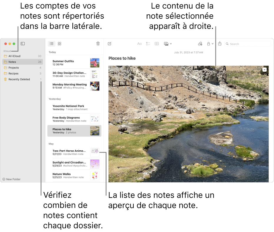 La fenêtre Notes avec tous vos comptes configurés et dossiers répertoriés dans la barre latérale sur la gauche, la liste des notes au milieu avec un aperçu de chaque note et le contenu de la note sélectionnée sur la droite. Le nombre de notes apparaît à côté de chaque dossier.