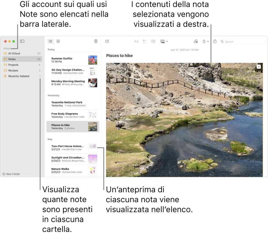 La finestra di Note, con tutte le cartelle e gli account configurati elencati nella barra laterale a sinistra, l’elenco di note al centro, con l’anteprima di ogni nota visibile, e il contenuto della nota selezionata visualizzato a destra. Il numero di note appare accanto a ciascuna cartella.