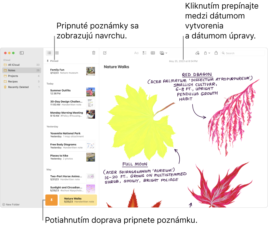 Okno Poznámky so zoznamom poznámok na ľavej strane, pripnutými poznámkami v hornej časti zoznamu s poznámkami a tlačidlom Pripnúť na jednej poznámke. Obsah danej poznámky sa zobrazuje napravo s dátumom v hornej časti. Kliknutím na dátum môžete prepínať medzi dátumom vytvorenia a dátumom úpravy.