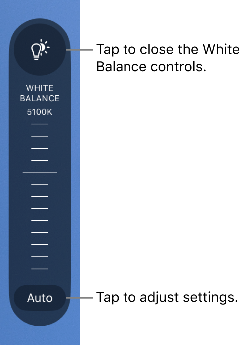 El dial de balance de blancos con el botón Automático al final.