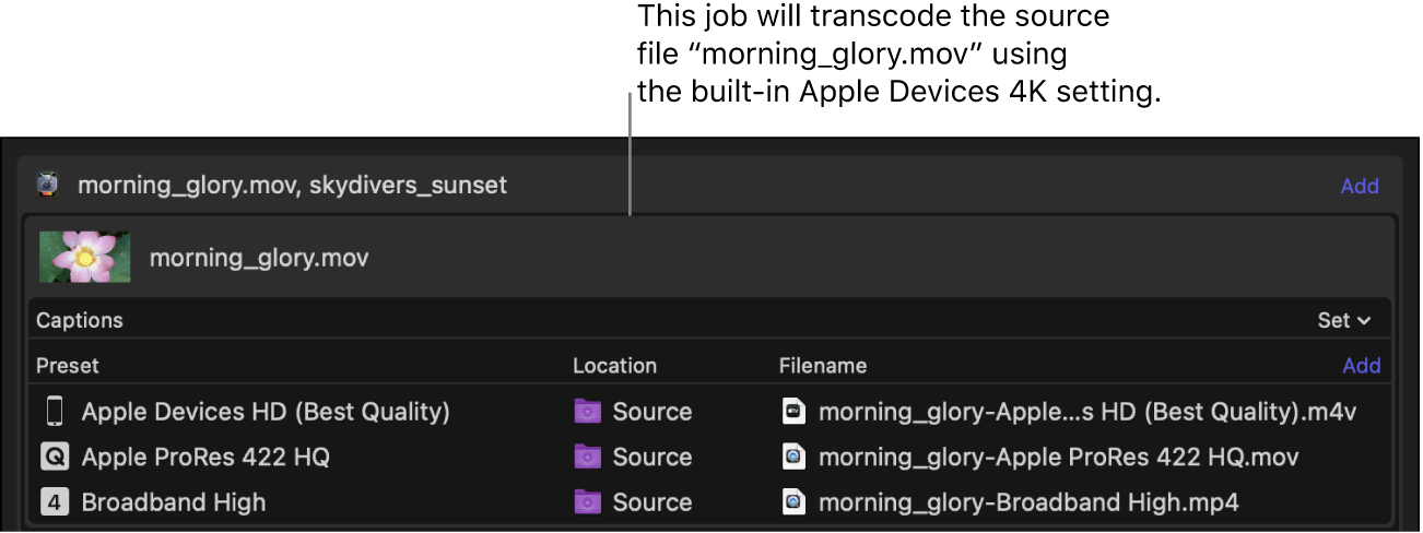 Batch area showing single job with a single preset applied.