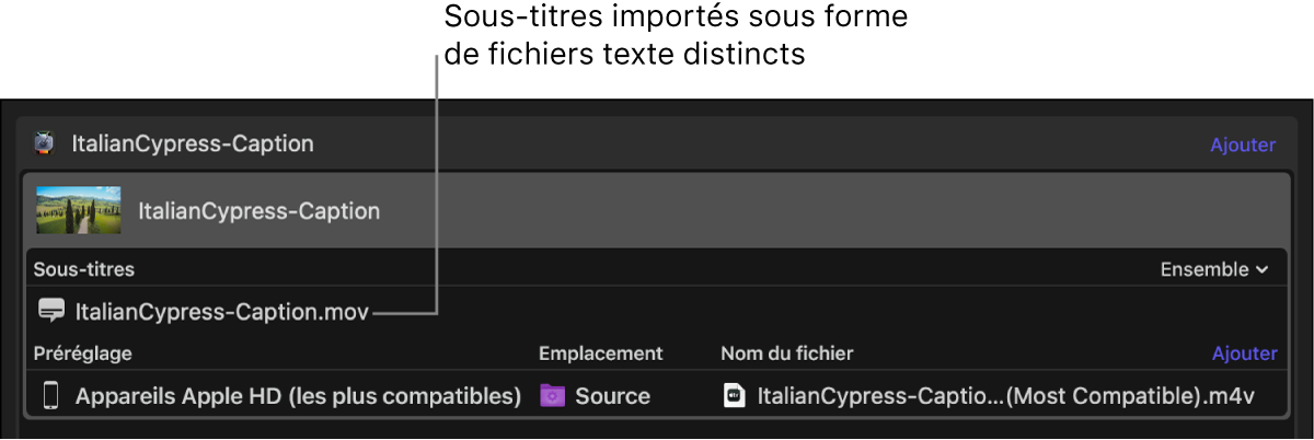 Zone du lot affichant un fichier de sous-titres, ajouté comme fichier texte à part