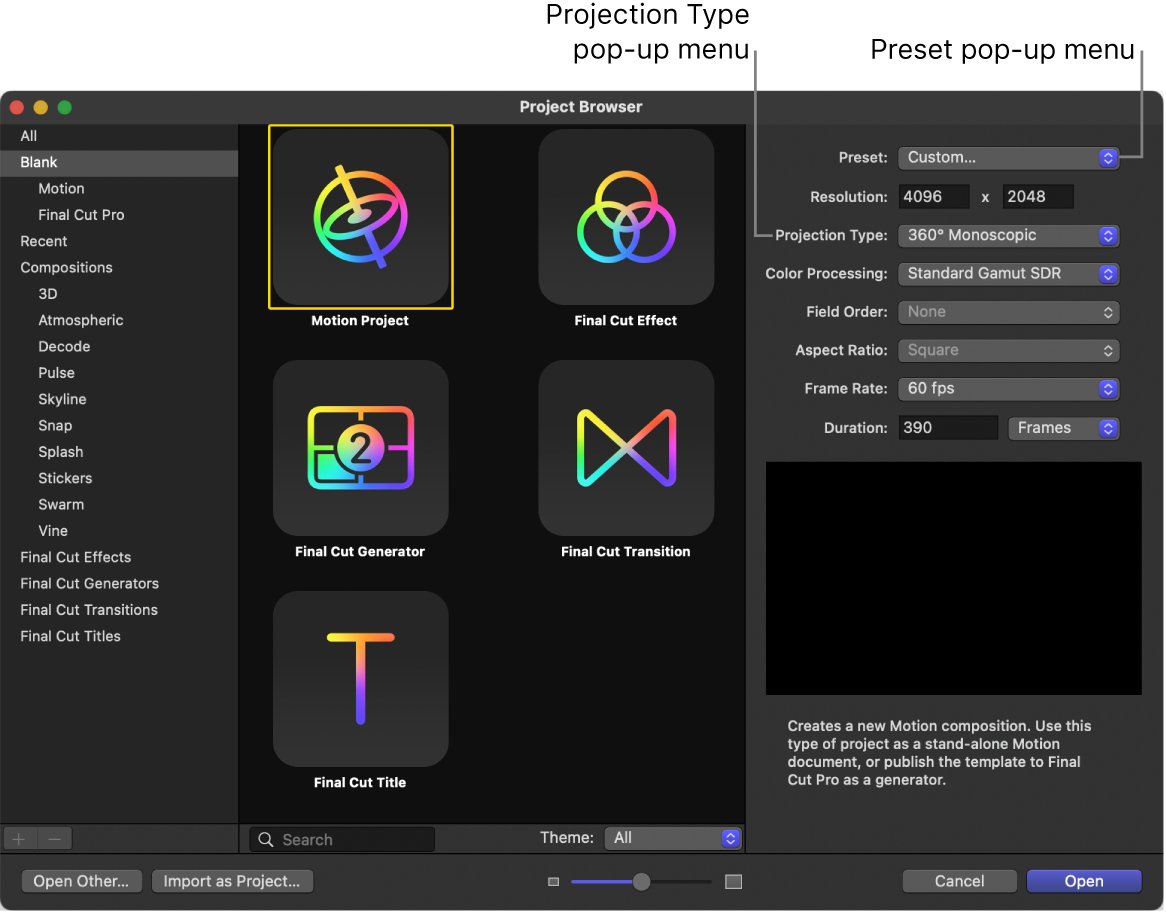 Project Browser showing the Preset pop-up menu and the Projection Type pop-up menu