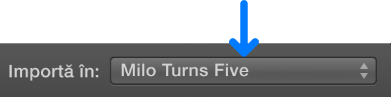 Meniu pop-up „Importă în”
