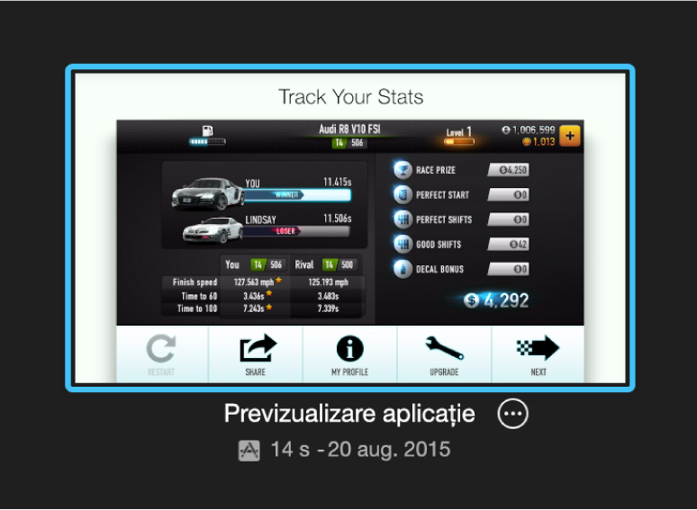 Proiectul de previzualizarea a unei aplicații în vizualizarea Proiecte