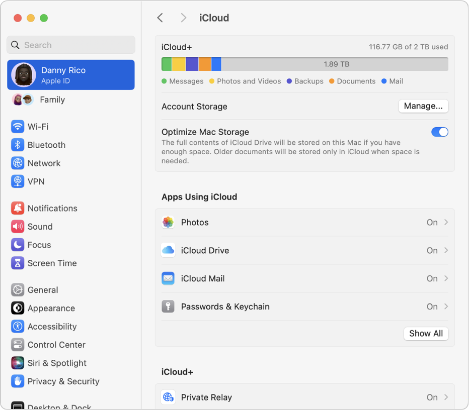 iCloud फ़ीचर वाली सिस्टम सेटिंग्ज़ विंडो चुनी गई है।