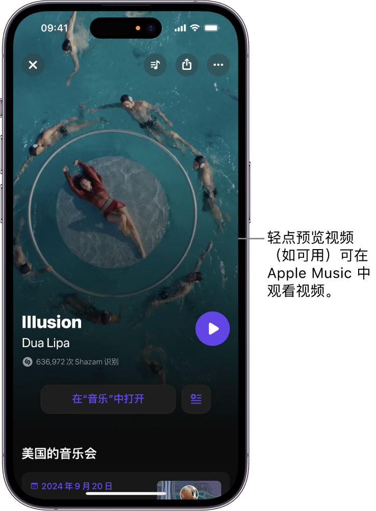 Shazam 曲目屏幕显示视频预览