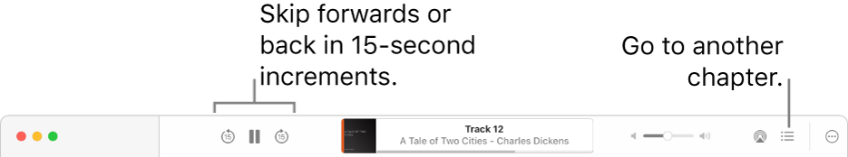 The audiobook player in Apple Books showing, from left to right, the Playback Speed button, the Skip Forwards, Pause and Skip Back buttons, the title and author of the currently playing audiobook, the Volume slider, the AirPlay button, the Table of Contents button and the More button.