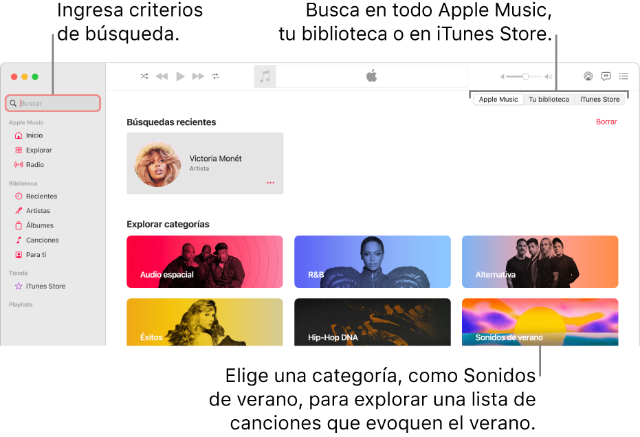 La ventana de Apple Music mostrando el campo de búsqueda en la esquina superior izquierda, la lista de categorías en el centro de la ventana, y la opción Apple Music, Tu biblioteca o iTunes Store disponible en la esquina superior derecha. Ingresa criterios de búsqueda en el campo de búsqueda y selecciona buscar en todo Apple Music, sólo en tu biblioteca o iTunes Store.