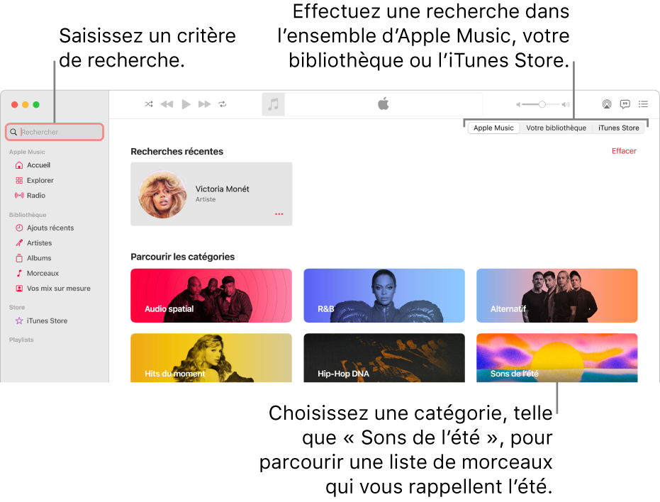 La fenêtre Apple Music, avec le champ de recherche dans le coin supérieur gauche, la liste de catégories au centre de la fenêtre et « Apple Music », « Votre bibliothèque » et l’iTunes Store disponibles dans le coin supérieur droit. Saisissez des critères de recherche dans le champ de recherche, puis choisissez d’effectuer la recherche dans tout Apple Music, seulement dans votre bibliothèque ou sur l’iTunes Store.