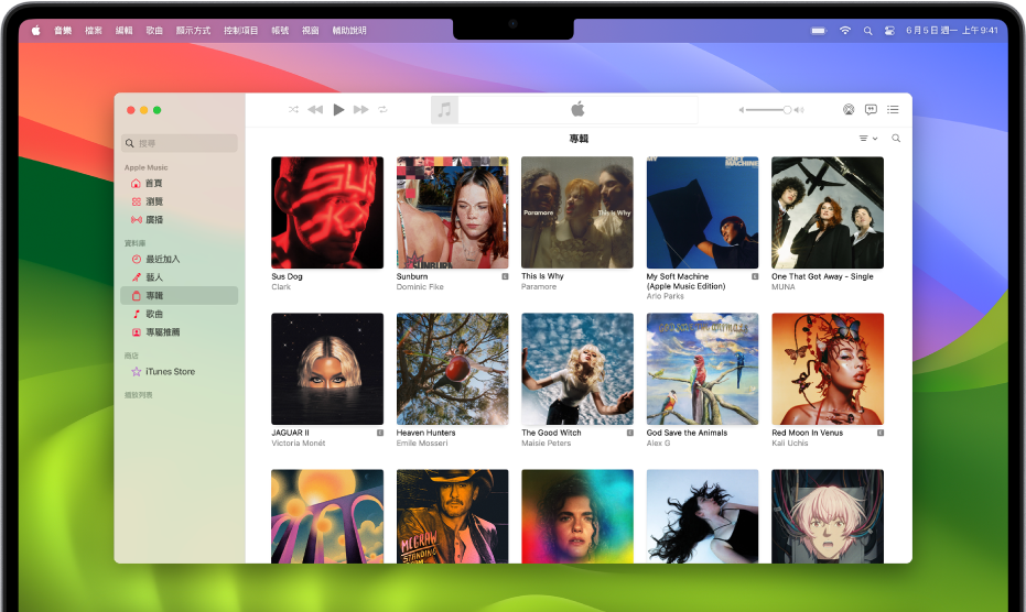 Apple Music 視窗顯示專輯的資料庫。