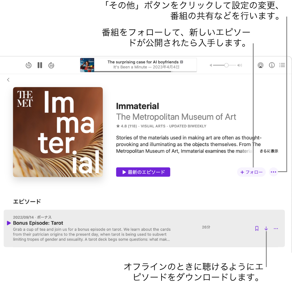 ポッドキャストの情報ページ。「フォロー」、「その他」、「ダウンロード」の各ボタンが表示されています。