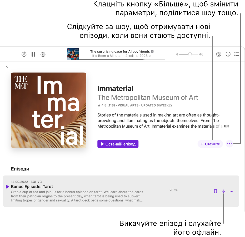 Сторінка інформації про подкаст з кнопками «Стежити», «Ще» і «Викачати».