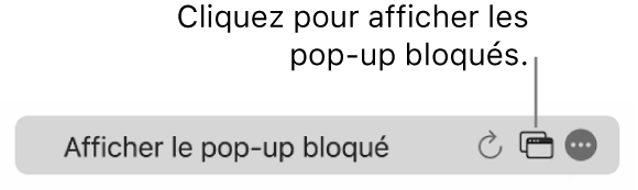 Champ de recherche intelligente avec une icône permettant d’afficher les pop-up bloqués.