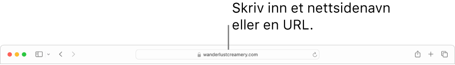 Det smarte søkefeltet i Safari, der du kan skrive inn nettstedets navn eller URL.