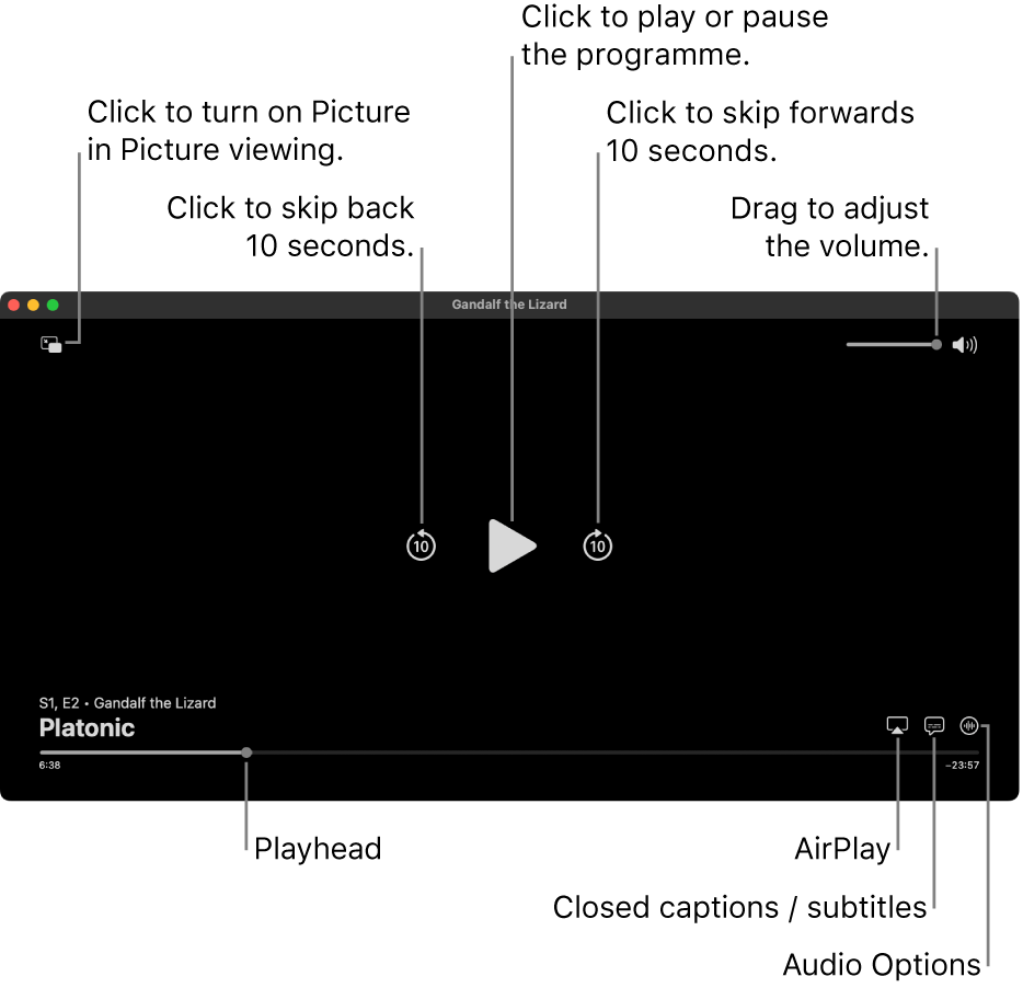 Playback controls in the viewer, including buttons to play or pause, skip forward or backward, and adjust volume