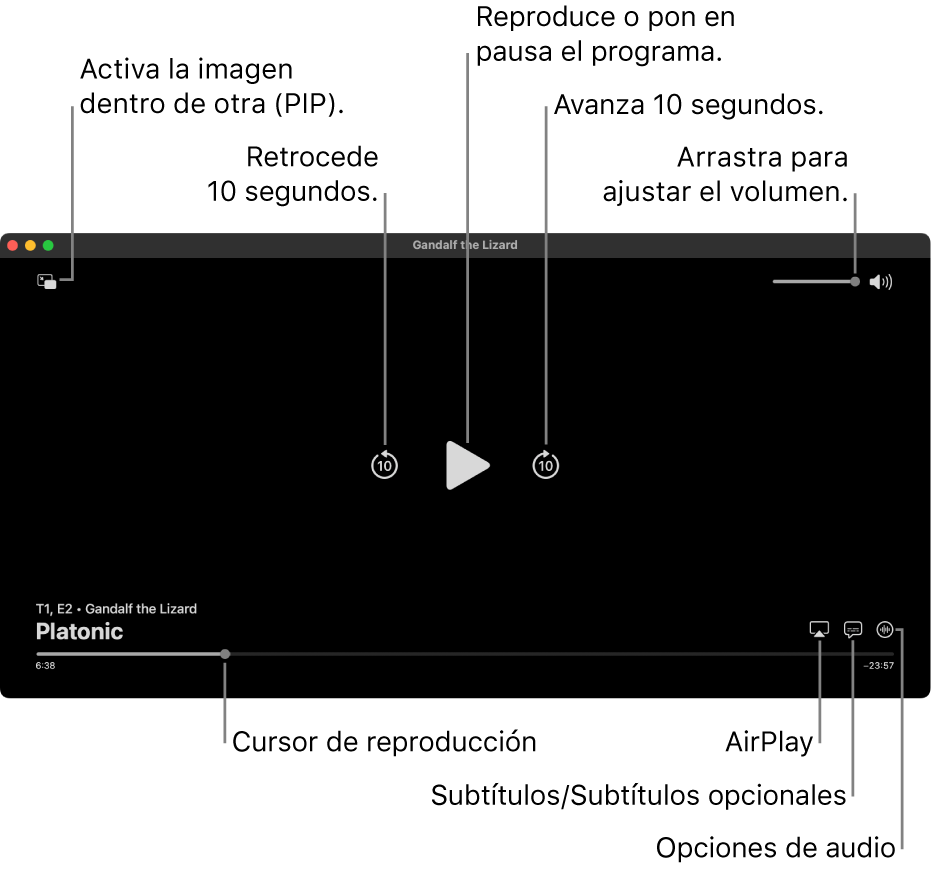 Controles de reproducción en el visor, incluyendo botones para iniciar la reproducción o pausar, avanzar o retroceder, y ajustar el volumen.