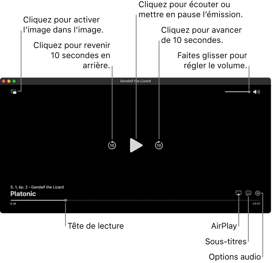 Commandes de lecture dans le visualiseur, y compris des boutons pour lire ou mettre en pause, avancer ou reculer, et ajuster le volume