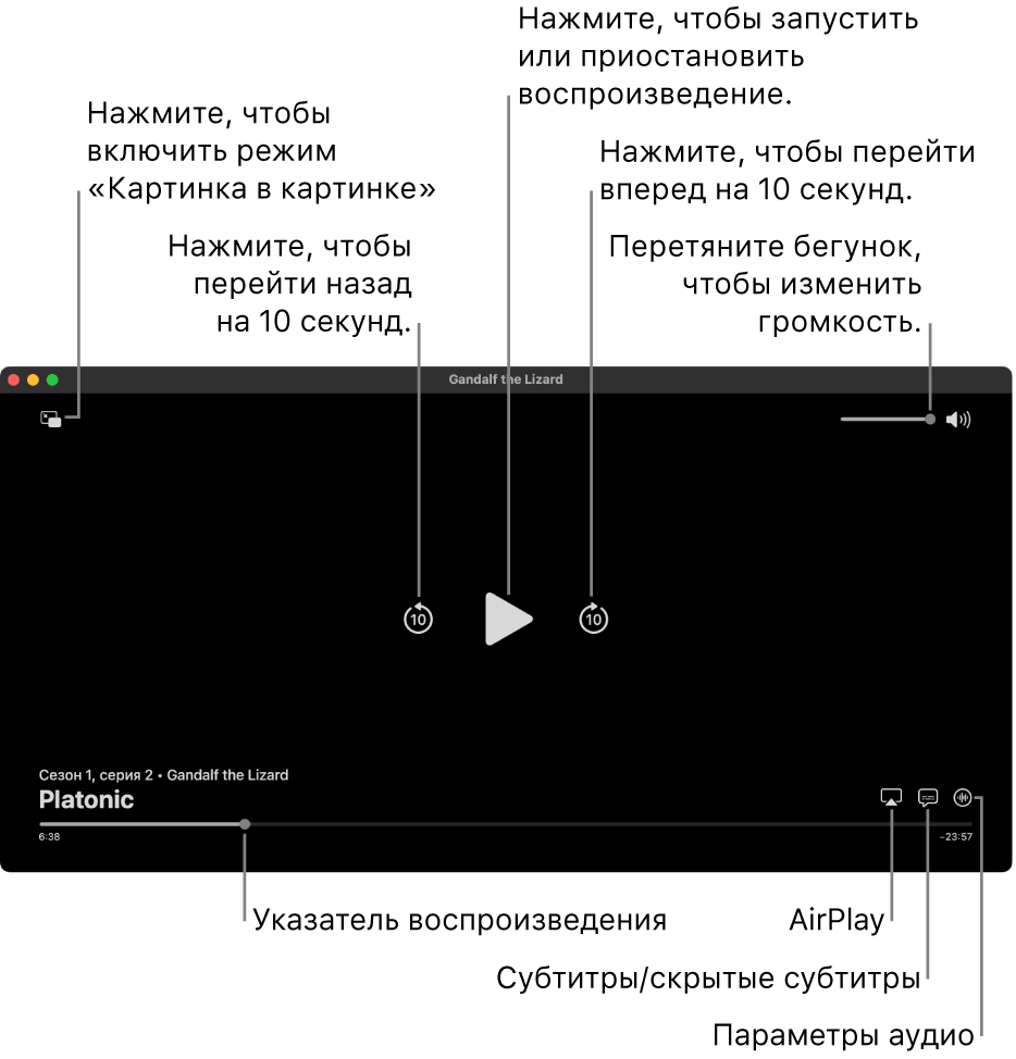 Элементы управления воспроизведением в окне просмотра, в том числе кнопки для начала и приостановки воспроизведения, перемотки вперед или назад и настройки громкости.