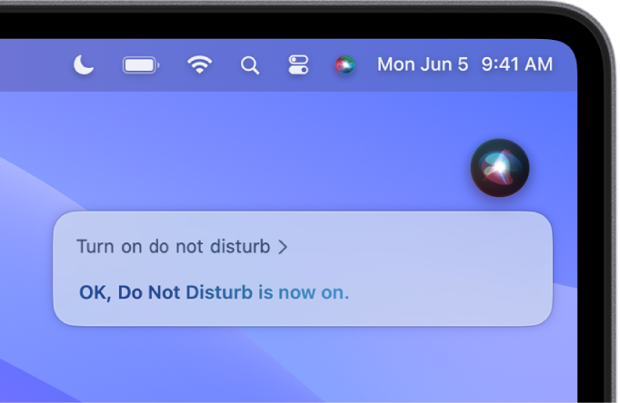 The Siri window showing a request to complete the task, “Turn on do not disturb.”