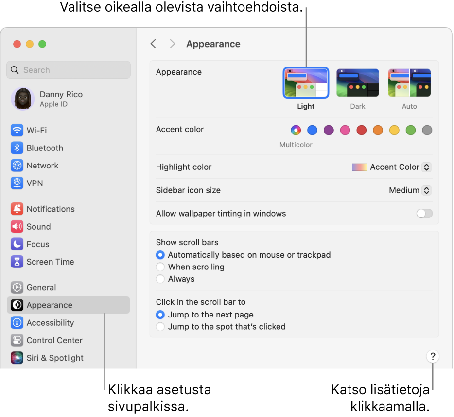 Järjestelmäasetukset-ikkuna, jossa on valittuna sivupalkissa Ulkoasu-asetukset ja oikealla näkyvät Ulkoasu-valinnat.