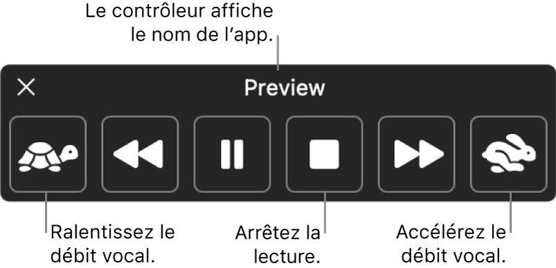 Le contrôleur à l’écran qui peut être affiché lorsque votre Mac énonce du texte sélectionné. Le contrôleur fournit six boutons qui, de gauche à droit, vous permettent de diminuer le débit vocal, revenir sur une phrase, démarrer ou mettre en pause la lecture, arrêter la lecture, avancer d’une phrase et augmenter le débit vocal. Le nom de l’app est affiché en haut du contrôleur.