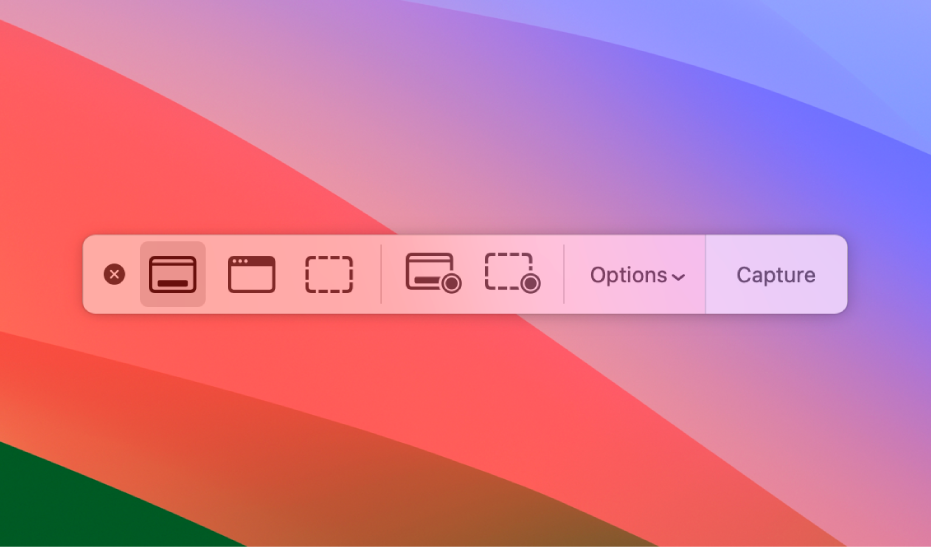 La sous-fenêtre de capture d’écran, affichant des icônes que vous pouvez utiliser pour sélectionner une zone sur l’écran à capturer, le bouton Options et le bouton de capture d’écran.
