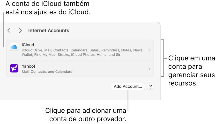 Os ajustes de Contas de Internet, com a lista das contas que estão configuradas no Mac.