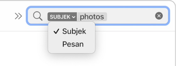 Filter pencarian yang panah bawahnya diklik untuk menampilkan dua pilihan: Subjek dan Seluruh Pesan. Subjek dipilih.