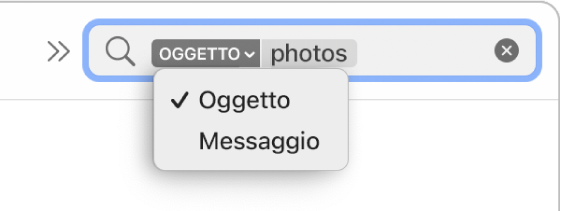 Un filtro di ricerca con la freccia in basso selezionata che mostra due opzioni: Oggetto e Messaggio intero. L’opzione Oggetto è selezionata.
