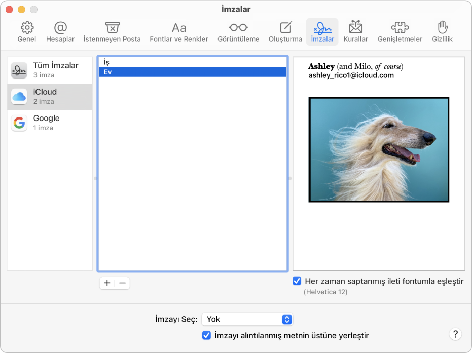 Biçimlenmiş metin ve bir görüntüyü içeren bir imzanın gösterildiği Mail’in İmzalar ayarları bölümü.