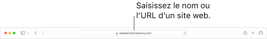 Le champ de recherche intelligente de Safari, dans lequel vous pouvez saisir le nom ou l’URL d’une page.