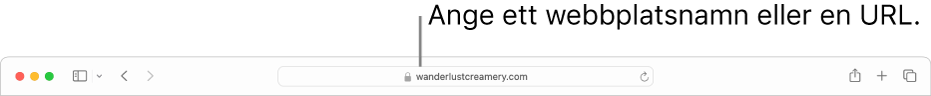 Safaris smarta sökfält där du kan ange en sidas namn eller URL.