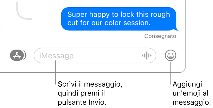 Una registrazione nella finestra Messaggi, con il campo del messaggio nella parte inferiore.