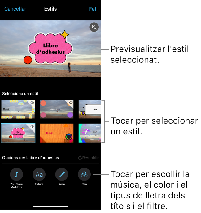 El visor mostra una previsualització de l’estil seleccionat i les opcions d’estil a sota. Els botons per afegir música, seleccionar el color i el tipus de lletra dels títols i aplicar un filtre a la part inferior de la pantalla.