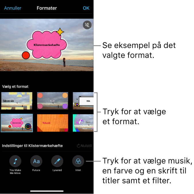 I fremviseren vises et eksempel på et valgt format med valgmuligheder nedenunder. Nederst på skærmen er der knapper, som bruges til at tilføje musik, vælge farve og skrift til titler og til at anvende et filter.