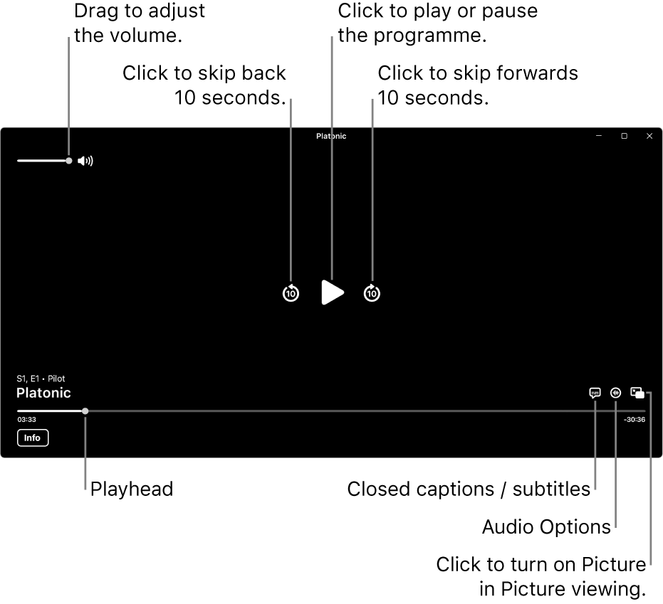 Playback controls in the viewer, including buttons to play or pause, skip forwards or backwards, and adjust volume