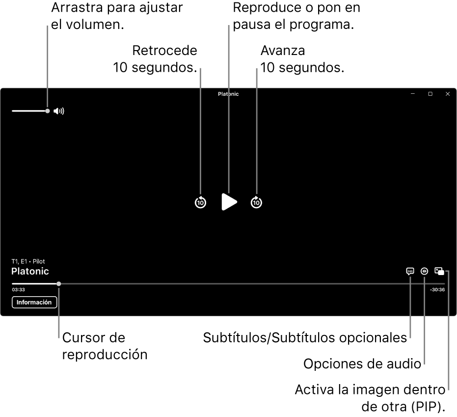 Los controles de reproducción en el visor, incluyendo los botones para reproducir y pausar, avanzar y retroceder, y ajustar el volumen