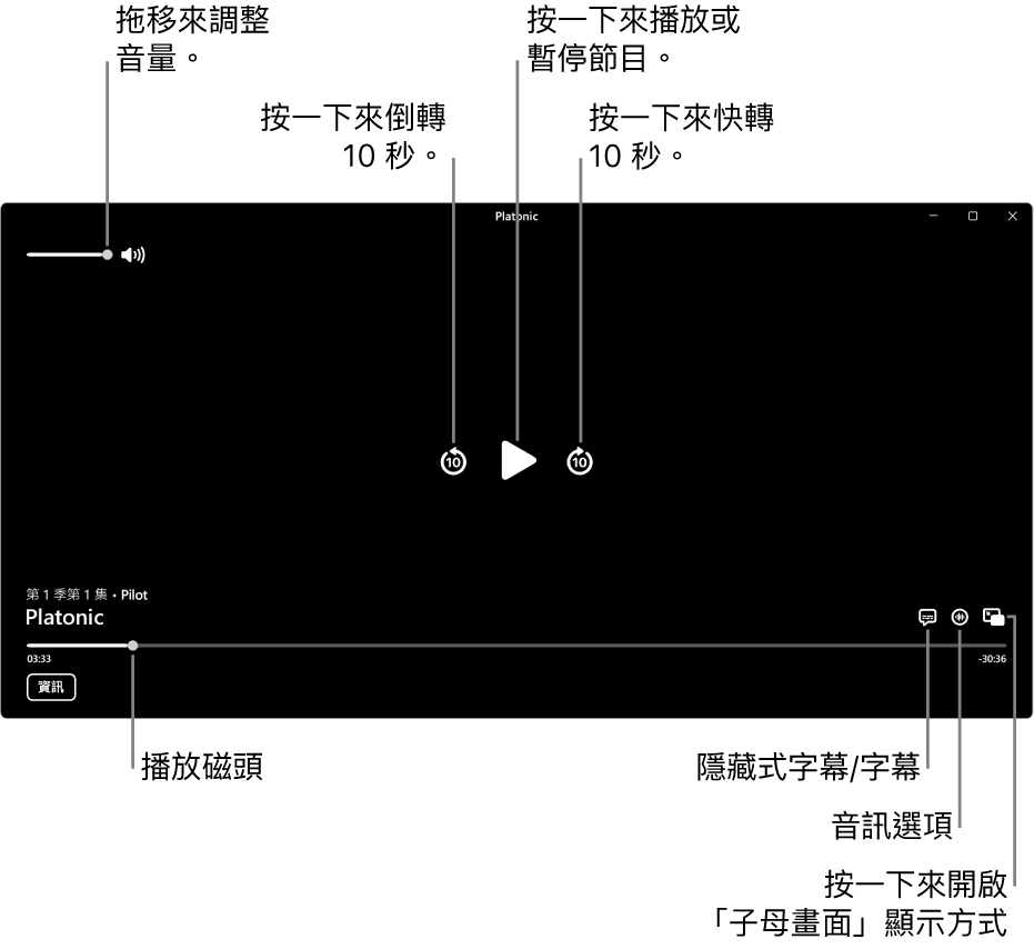 檢視器中的播放控制項目，包含播放或暫停、跳到下一段或上一段和調整音量的按鈕