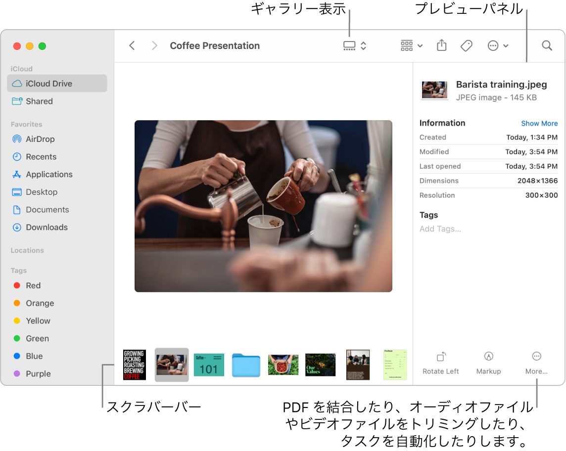 ギャラリー表示で開いているFinderウインドウ。大きい写真と、その下に1列に並んだ小さい写真（スクラバーバー）が示されています。回転やマークアップなどのコントロールがスクラバーバーの右側にあります。