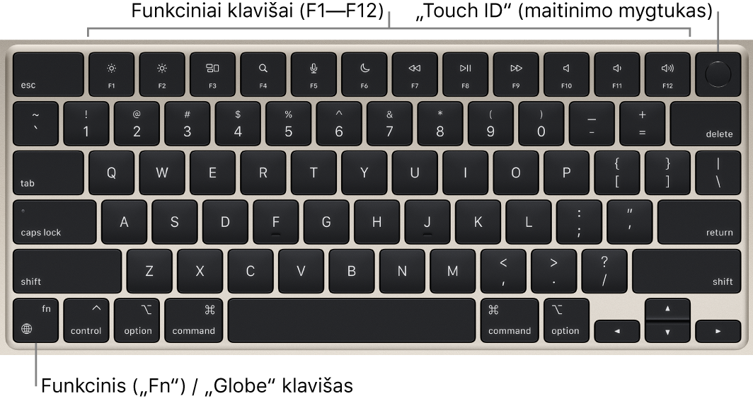 „MacBook Air“ klaviatūra, viršuje matosi funkcinių klavišų eilė, „Touch ID“ maitinimo mygtukas, o apatiniame kairiajame kampe – klavišas „Function“ („Fn“) / „Globe“.