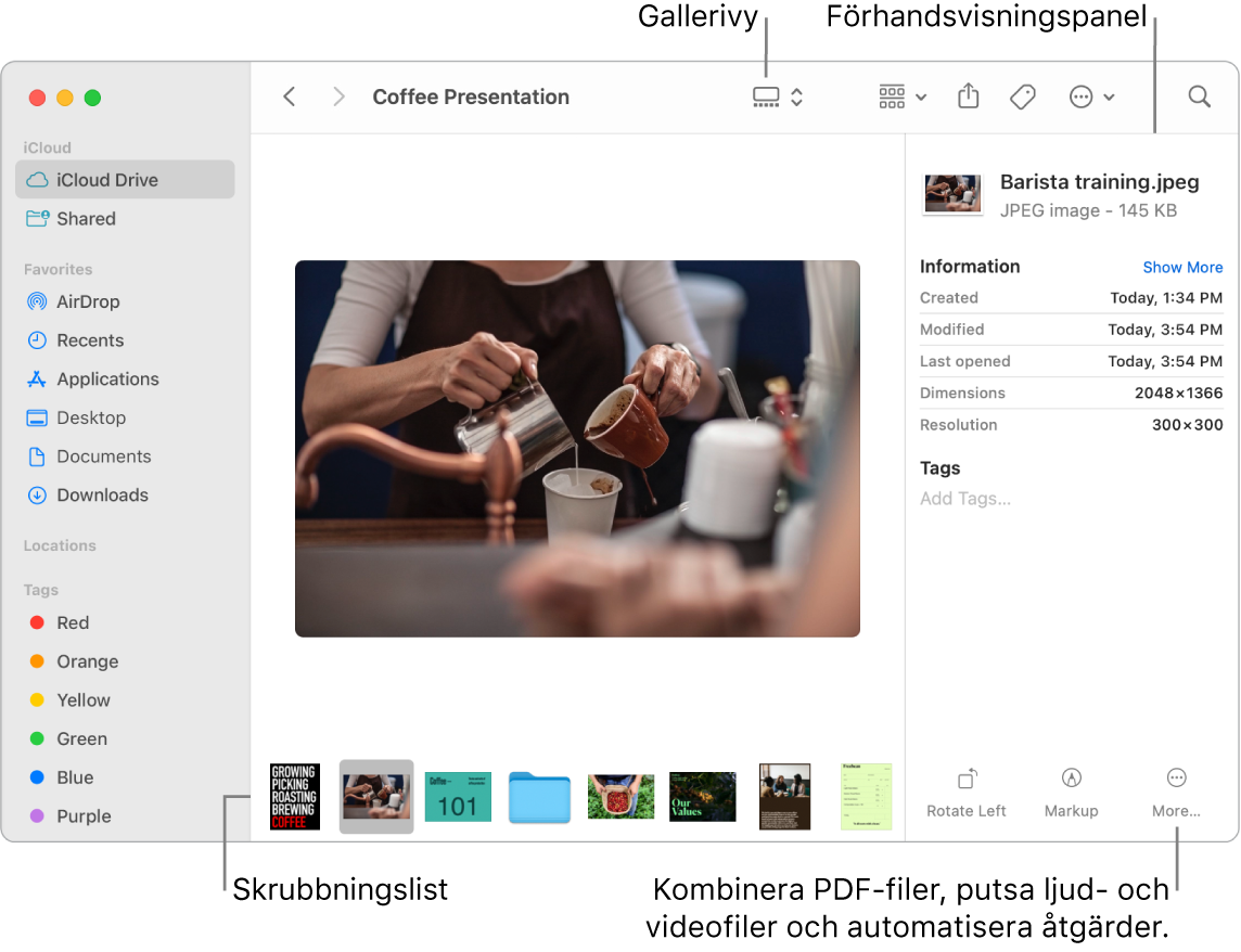 Ett öppet Finder-fönster i gallerivy som innehåller en stor bild med en rad mindre bilder (skrubbningslisten) under den. Reglage för rotation, märkning och annat finns till höger om skrubbningslisten.