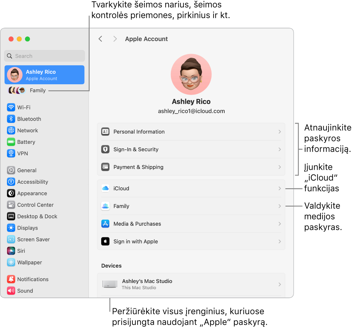 Skiltyje „Sistemos nustatyMail“ pateikiami „Apple“ paskyros nustatymai su šaukiniais, skirtais atnaujinti paskyros informaciją, įjungti arba išjungti „iCloud“ funkcijas, tvarkyti medijos paskyras, ir „Šeima“, kur galite tvarkyti šeimos narius, tėvų kontrolę, pirkinius ir kt.