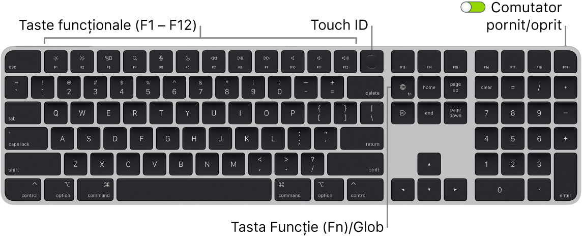 Tastatura Magic Keyboard cu Touch ID și tastatură numerică afișând rândul de taste funcționale și senzorul Touch ID în partea de sus, precum și tasta Funcție (Fn)/Glob la dreapta tastei Șterge.