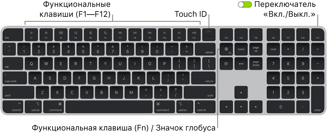 Клавиатура Magic Keyboard с сенсором Touch ID и цифровой клавишной панелью. Показаны функциональные клавиши, сенсор Touch ID вверху и клавиша Function (Fn) / глобуса справа от клавиши Delete.