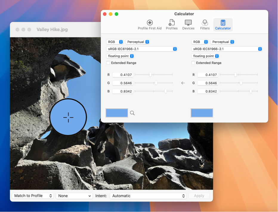 La sous-fenêtre Calculette, affichant les valeurs des couleurs d’un pixel dans deux profils de couleurs différents.